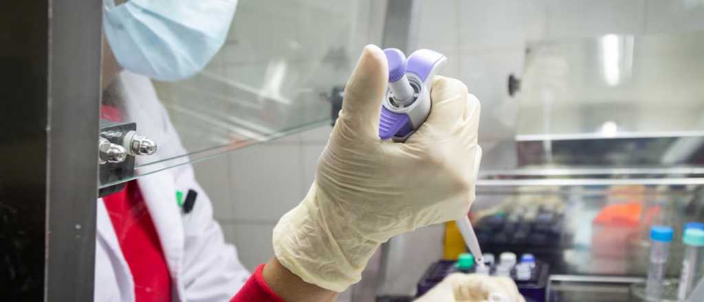 Confirmaron la detecci&oacute;n de dos casos m&aacute;s de gripe H3N2