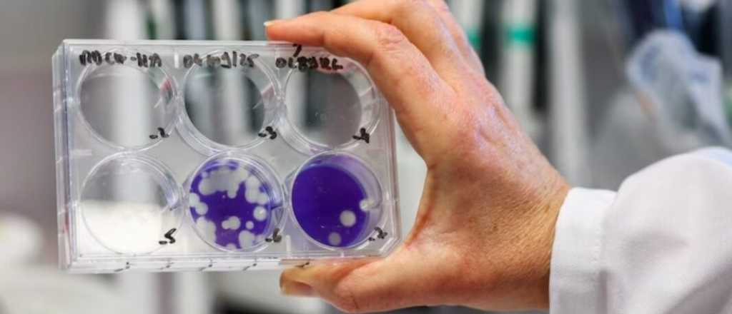 Confirmaron que el caso detectado en Mendoza es de "gripe K"