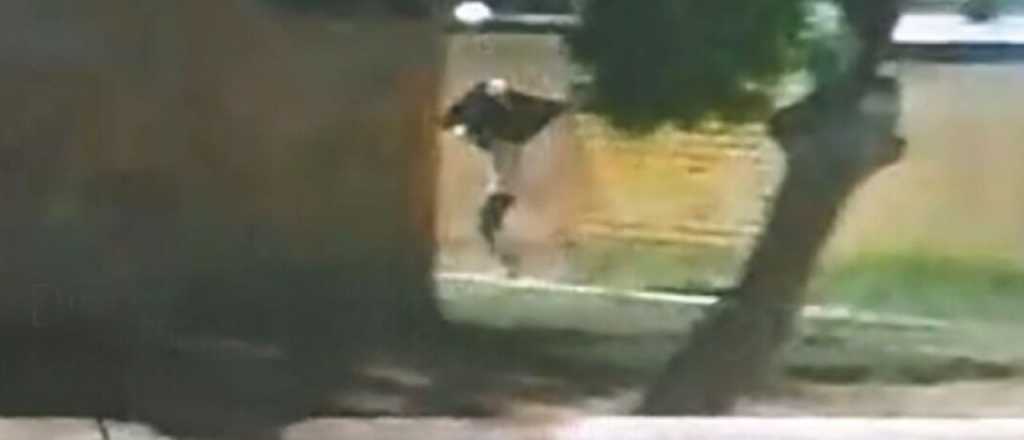 Rob&oacute; un tele la noche de A&ntilde;o Nuevo en Rivadavia y qued&oacute; filmado