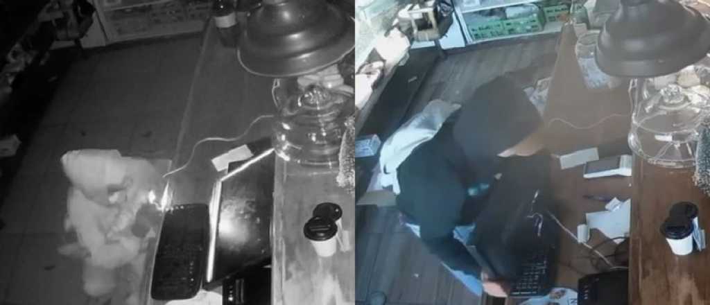 Video: un local gastron&oacute;mico arranc&oacute; el a&ntilde;o y le robaron dos veces