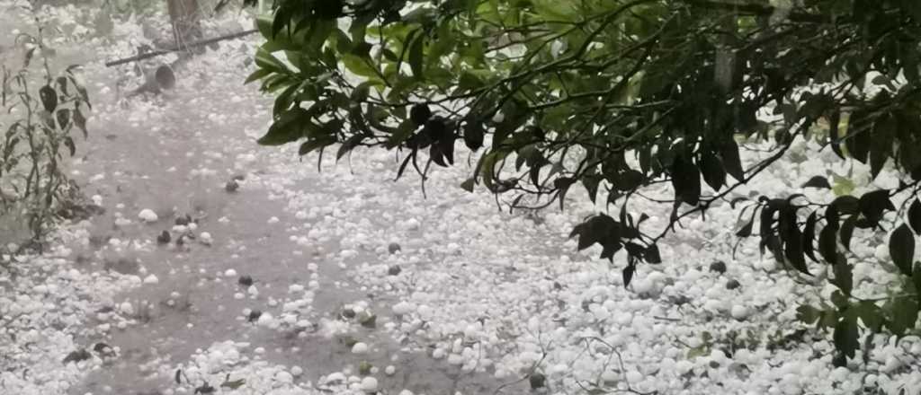 Video: as&iacute; fue la fuerte tormenta de granizo en San Rafael 