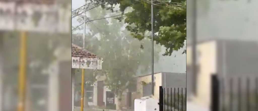 Video: una impactante tormenta azot&oacute; Santa Rosa