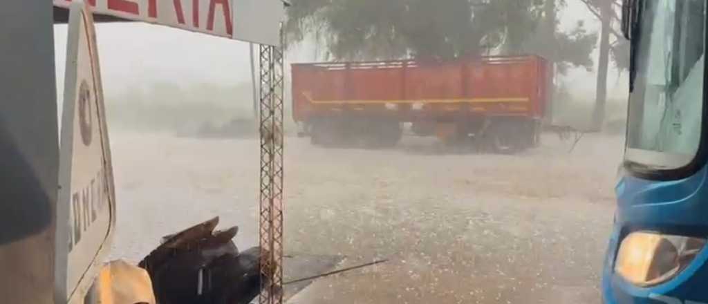 Árboles caídos y cortes de energía: los daños de la tormenta en Mendoza