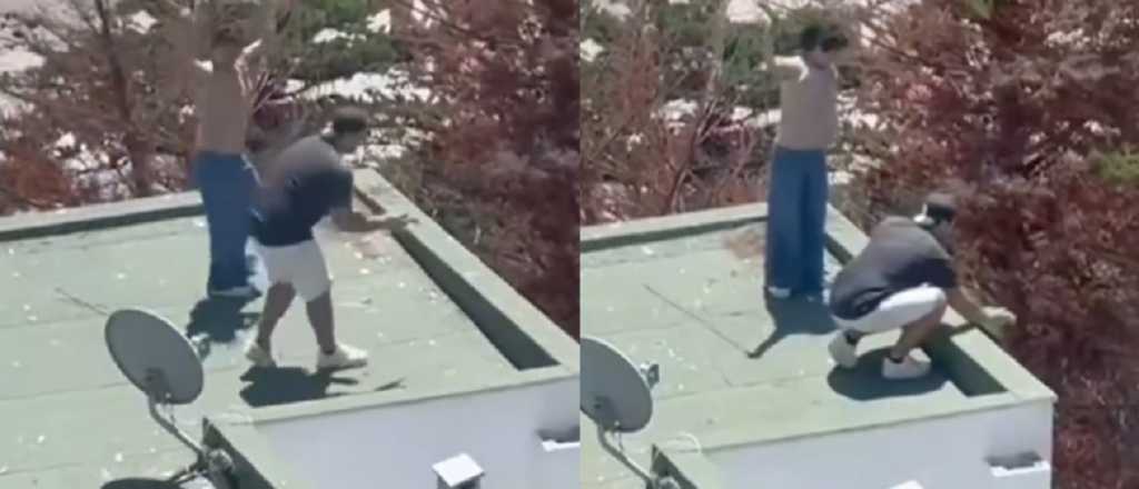 Video: una pareja tir&oacute; gaviotas beb&eacute;s desde una terraza en Chile