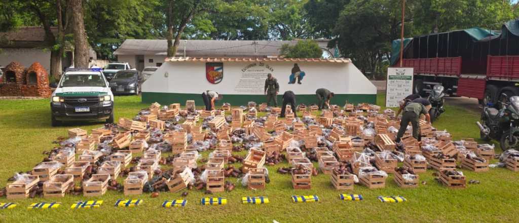 Secuestraron 31 kilos de coca&iacute;na camuflada entre verduras en Salta