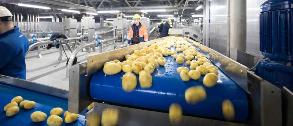 Líder de papas fritas congeladas cierra su planta y despide a 100 empleados