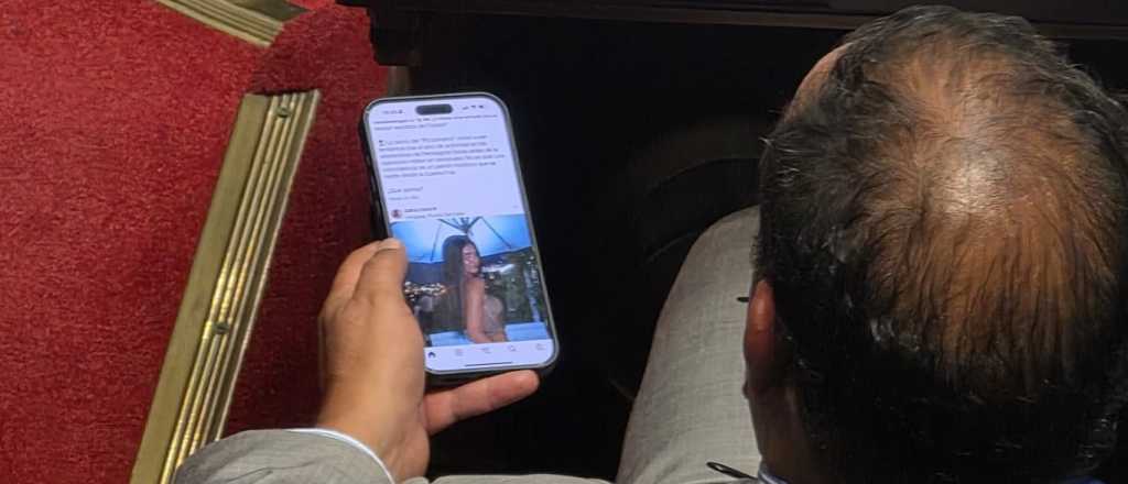 Escracharon a un senador mirando fotos de Zaira Nara en plena sesi&oacute;n