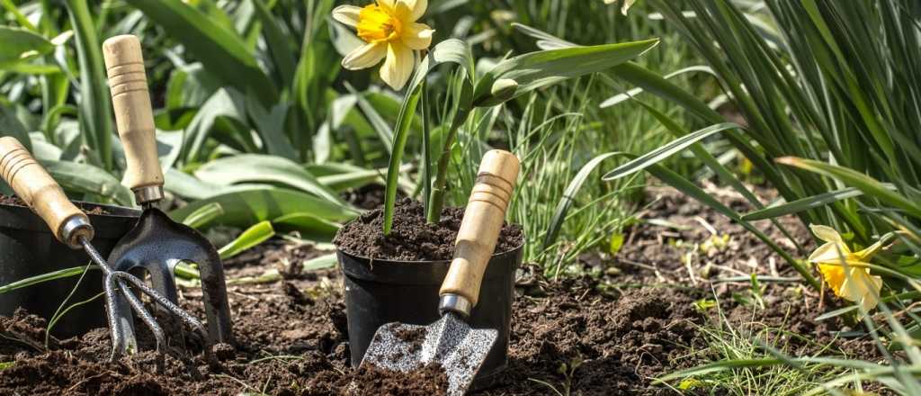 Siete plantas perennes para un jardin f&aacute;cil y con color todo el a&ntilde;o