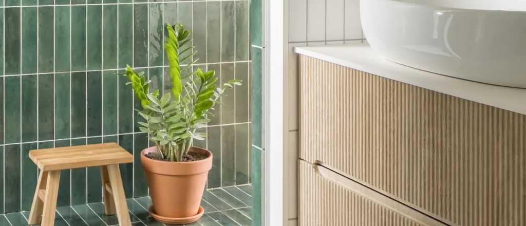 Feng Shui: la planta que ayuda a cuidar la energ&iacute;a del ba&ntilde;o