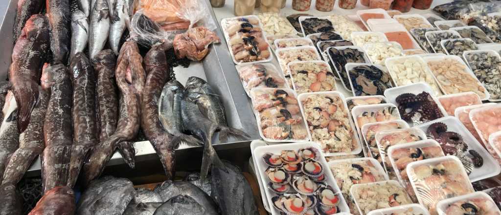 Prohíben el consumo de mariscos en Chile: qué zonas afecta la peligrosa toxina