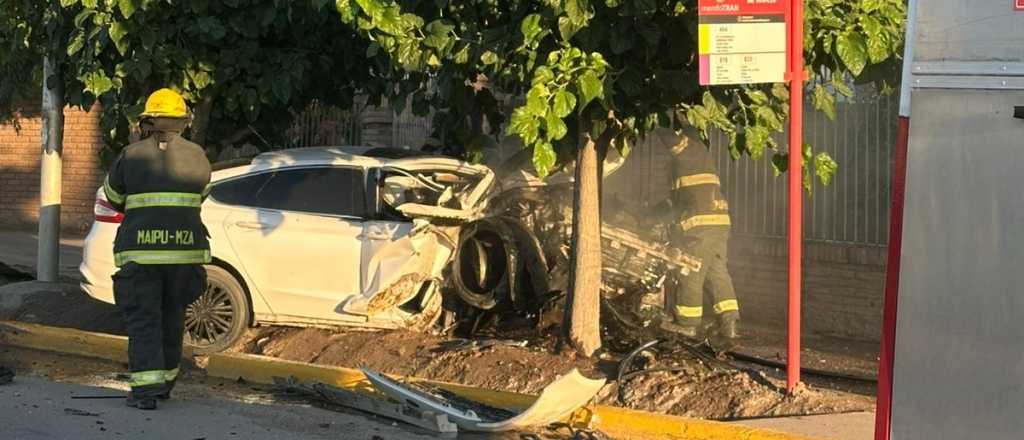 Un joven qued&oacute; gravemente herido luego de chocar contra un &aacute;rbol en Maip&uacute;