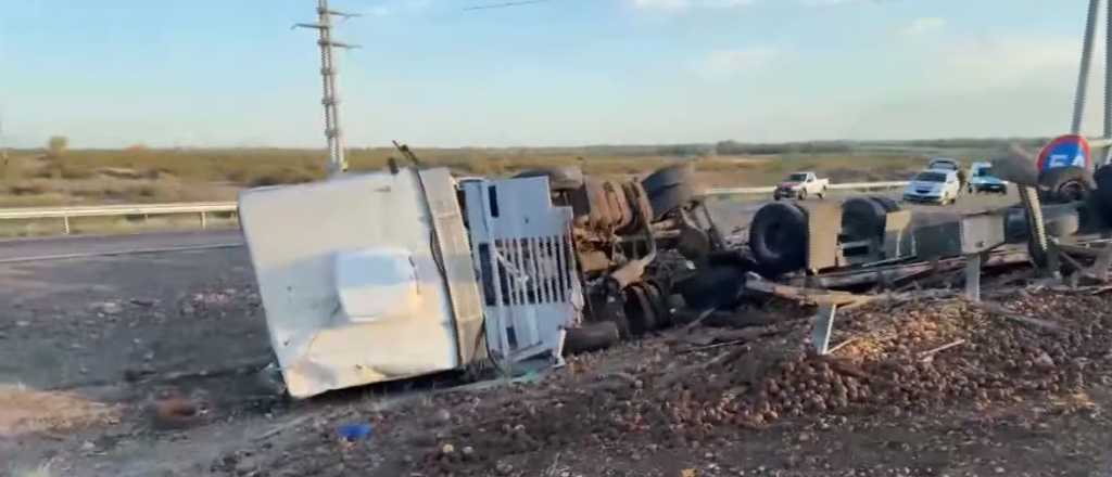 Un cami&oacute;n volc&oacute; con duraznos en la Variante Palmira: tr&aacute;nsito cortado