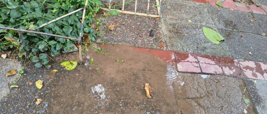 Fotos: importante p&eacute;rdida de agua en Ciudad 