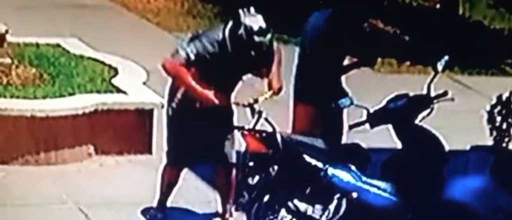 Video: en sólo 40 segundos robaron una moto en Las Heras