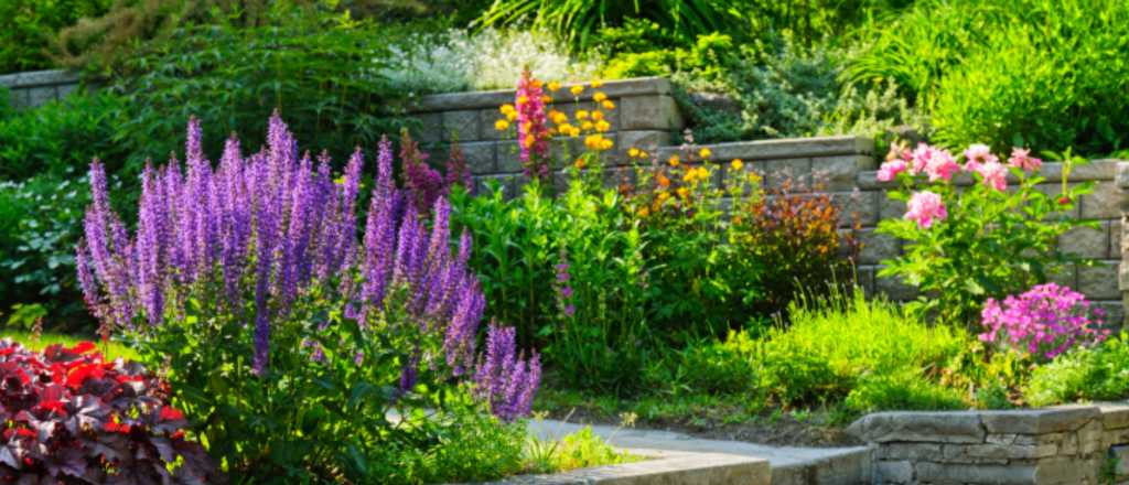 Las mejores flores para plantar en enero y llenar tu jard&iacute;n de vida