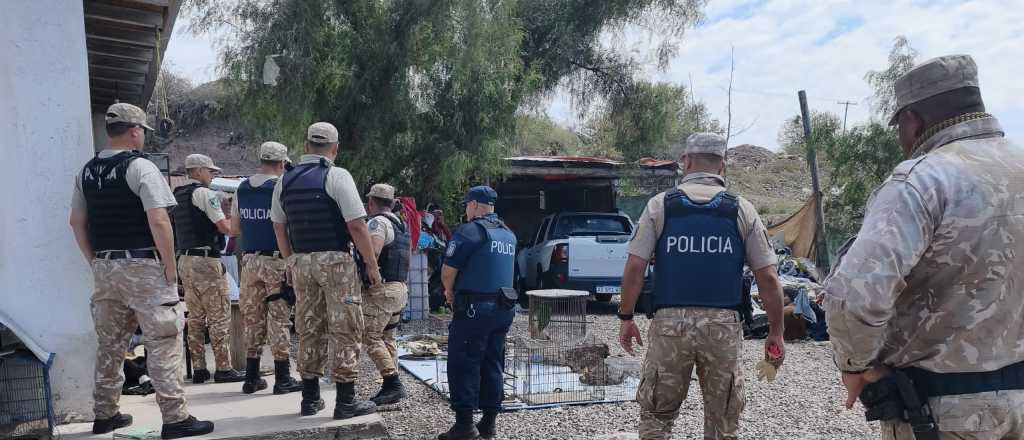 Hallaron cerdos infectados, animales mutilados y drogas en Luj&aacute;n