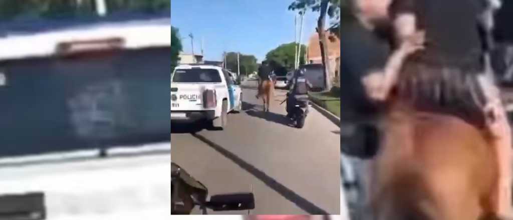 Video: persecución y arresto de ladrones menores de edad que huían a caballo
