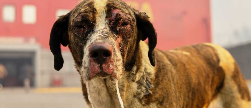 Un d&iacute;a como hoy: pas&oacute; un 20 de enero