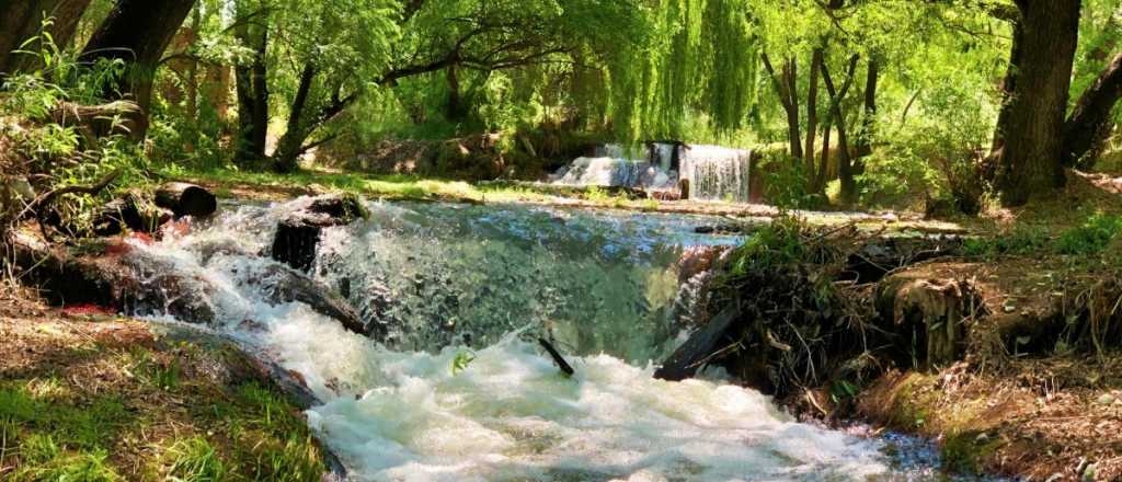 El caudaloso r&iacute;o rodeado de verde cerca de la cordillera 