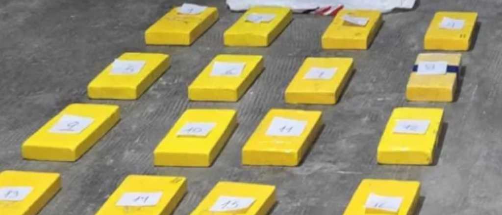 Incautaron 60 kilos de cocaína escondidos en bananas que venían a Mendoza