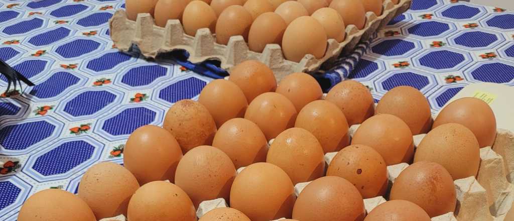 Le robaron los huevos a un comerciante de General Alvear