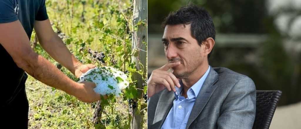 "Hoy perdimos todo": el crudo posteo de un bodeguero tras la tormenta