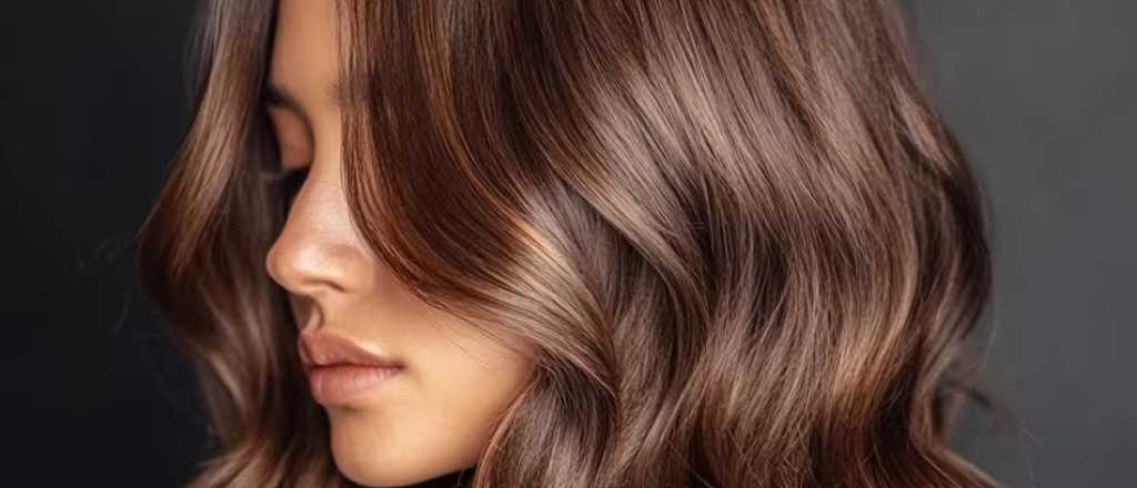 Qu&eacute; tiene que tener tu cabello este 2026