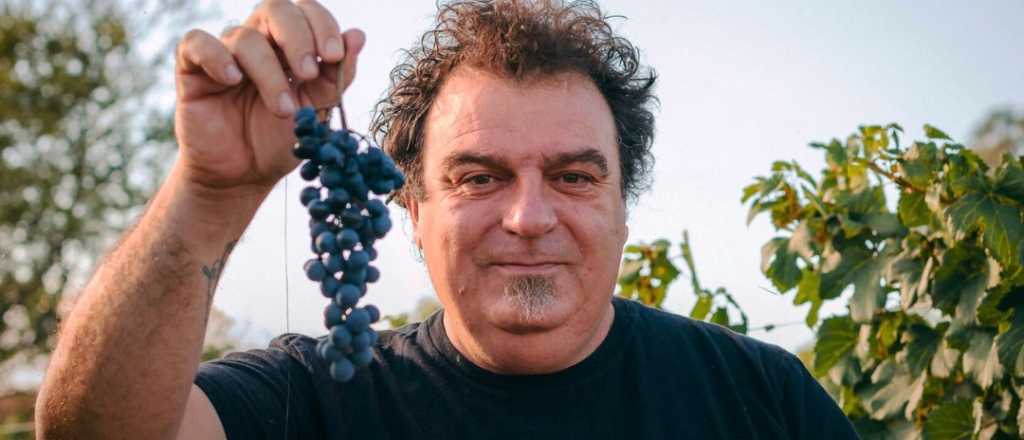 Vigil: "El vino no es como otras bebidas, hasta puede ser bueno para la salud"