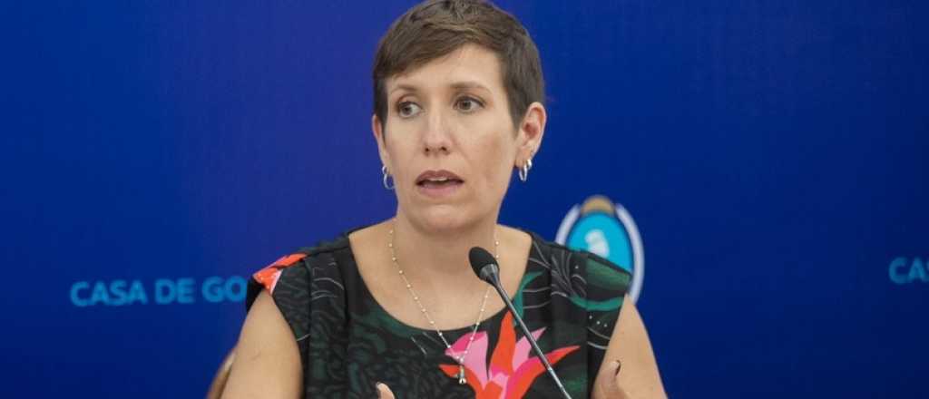 Latorre cuestion&oacute; a antimineros por "difundir informaci&oacute;n falsa" 