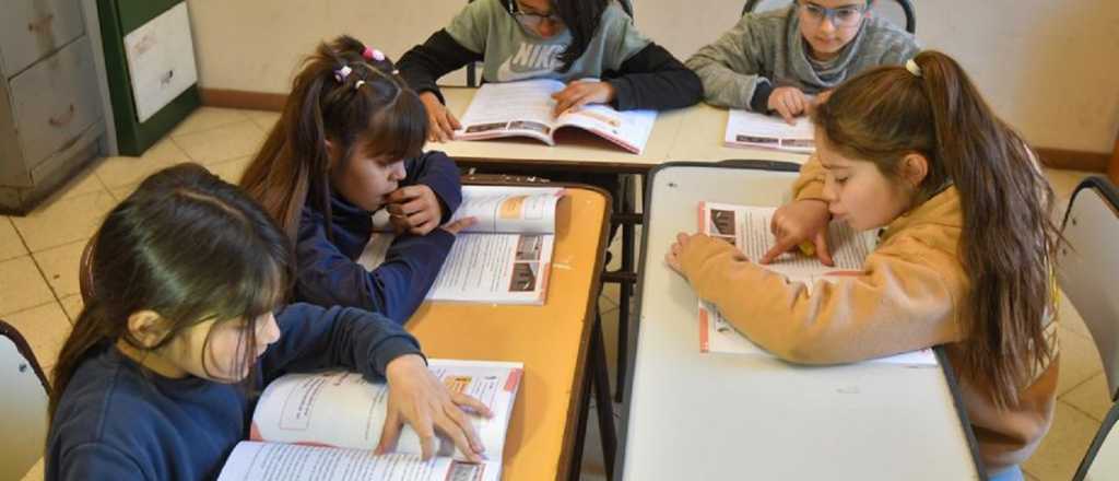 Se van a distribuir más de 100 mil libros en escuelas primarias de Mendoza