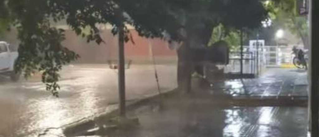 Destrozos, familias asistidas y &aacute;rboles ca&iacute;dos tras el temporal en Mendoza