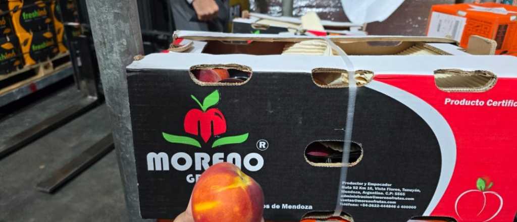 Durazno mendocino en las góndolas de supermercados de Dubái