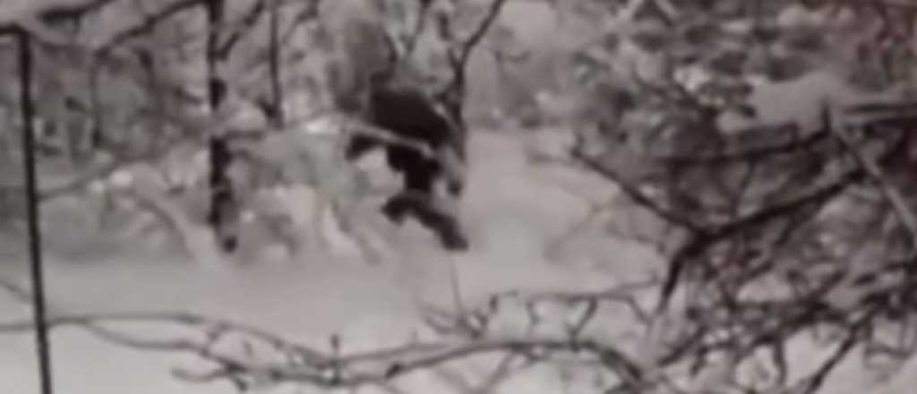 Aseguran que filmaron Pie Grande