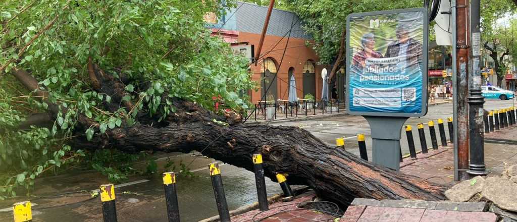 Temporal: no hubo víctimas y estos fueron los departamentos más afectados