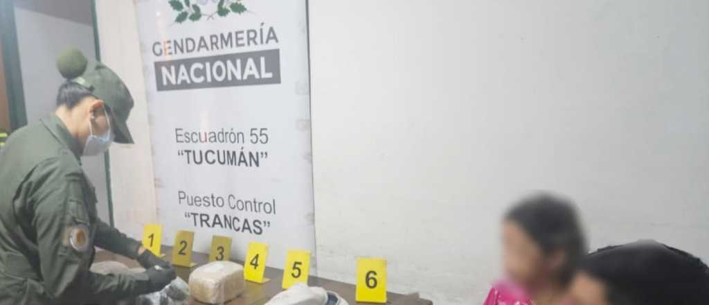 Tra&iacute;a 3 kilos de marihuana a Mendoza y la detectaron en un control con su hija