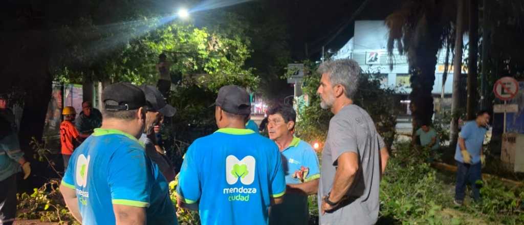 Ciudad alertó que llevará días reparar los daños del temporal y pidió paciencia