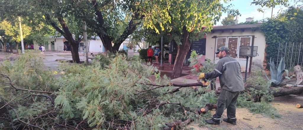 San Martín fue el más afectado por el temporal y Rufeil reiteró un reclamo