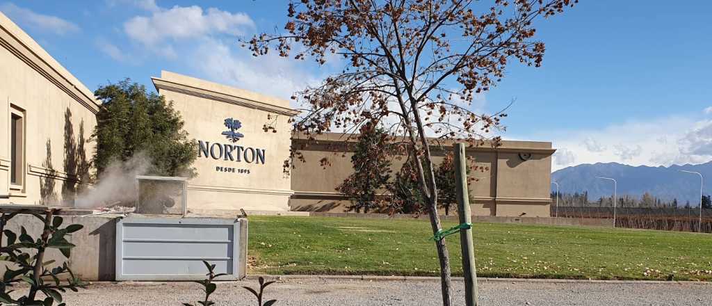 Norton oficialmente en concurso: la Justicia estableci&oacute; fechas clave