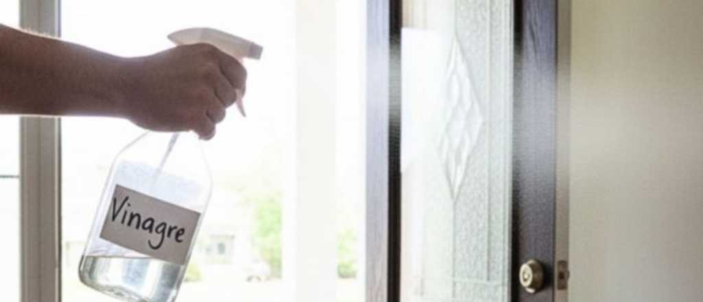 El truco casero y econ&oacute;mico para proteger la puerta de entrada de tu hogar
