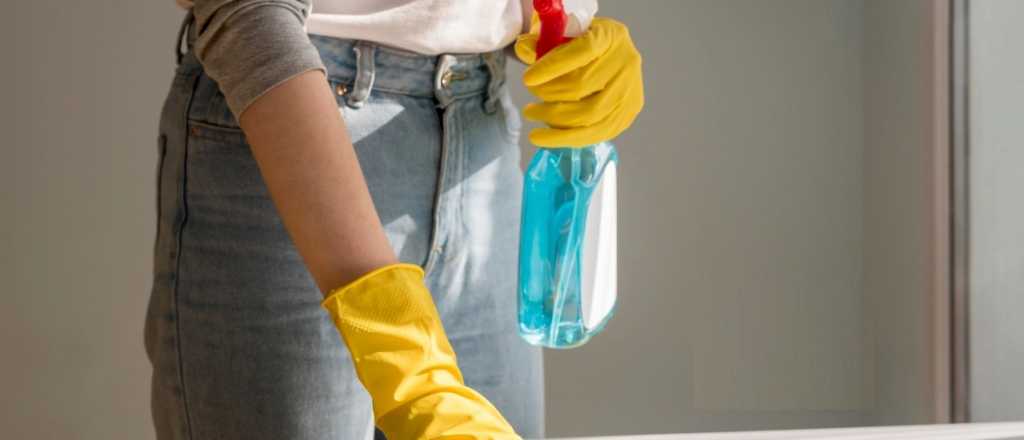 De cuánto es el sueldo de empleadas domésticas en febrero y el pago por hora