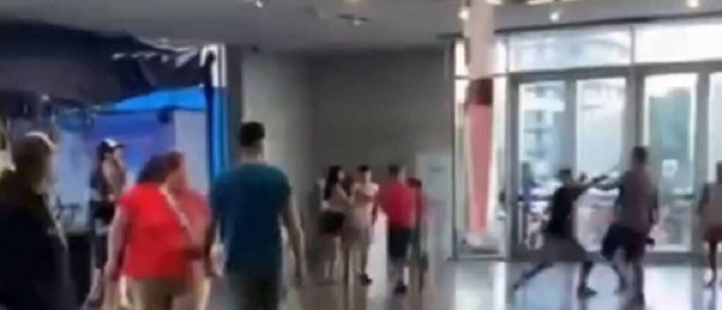 Video: a las pi&ntilde;as en un museo por un conflicto amoroso