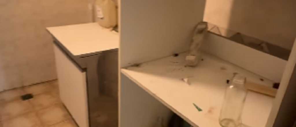 Alquiló su departamento a un contacto de Instagram que se lo desvalijó y huyó