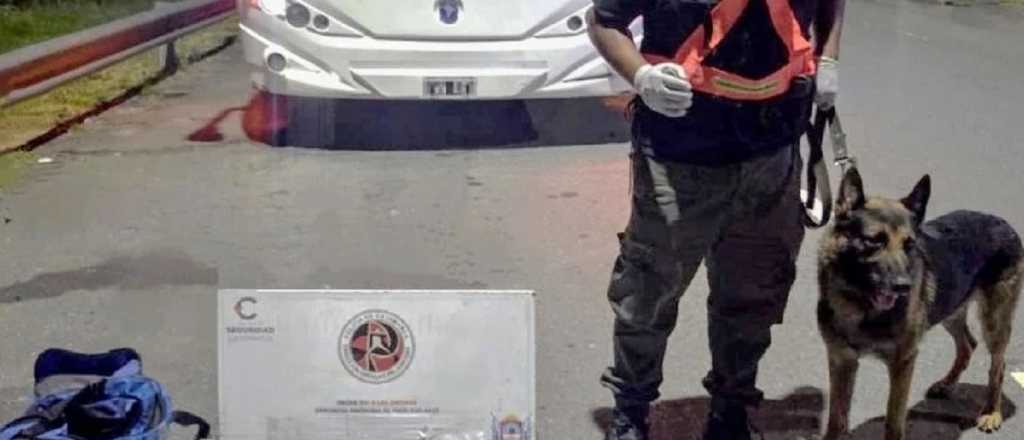 Incautaron casi 4 kilos de marihuana en un micro que se dirigía a Mendoza