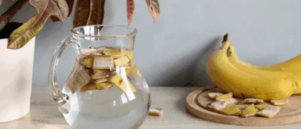 Por qué mezclar cáscara de banana y vinagre es importante para tu jardín