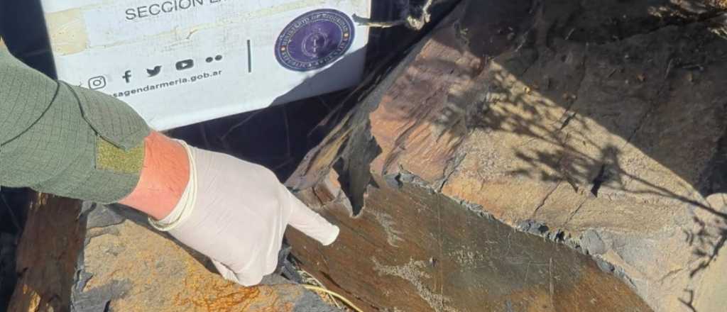 Históricos hallazgos arqueológicos en la cordillera de San Juan