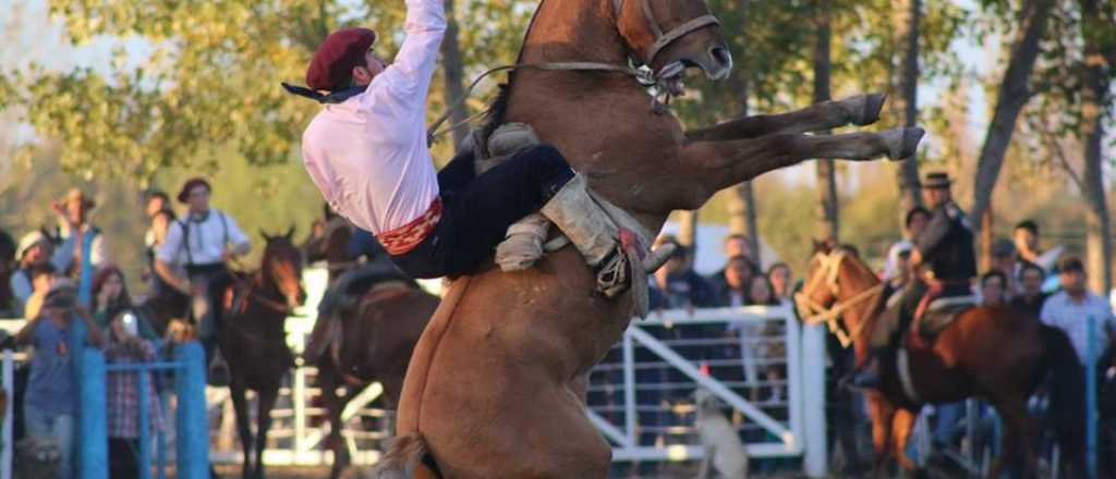 Debate por las jineteadas en Mendoza: "Podr&iacute;a ser regulado y no prohibido"