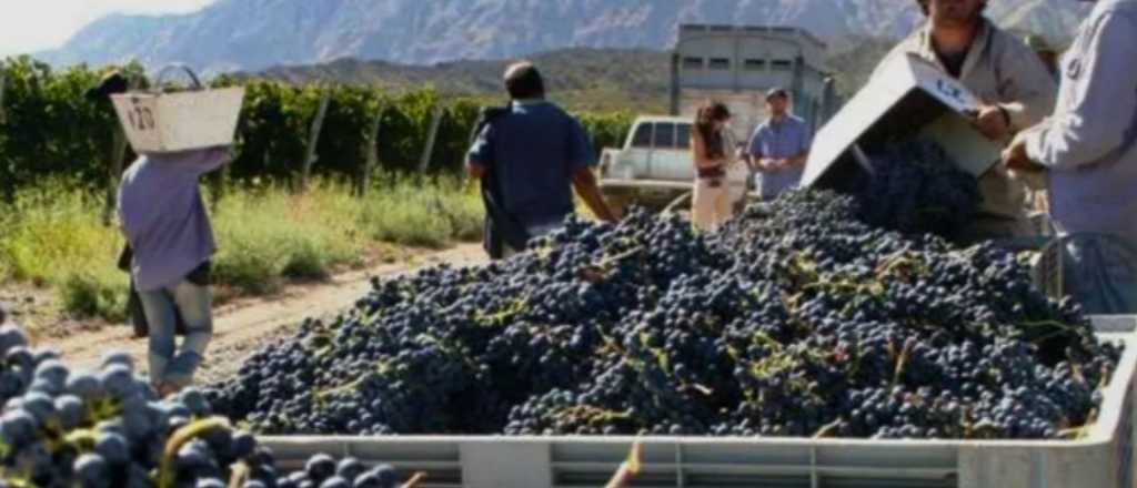 Confirman un "caravanazo" de productores por el bajo precio de la uva