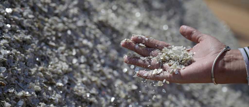 Minerales cr&iacute;ticos: claves detr&aacute;s del acuerdo entre Argentina y EE.UU.