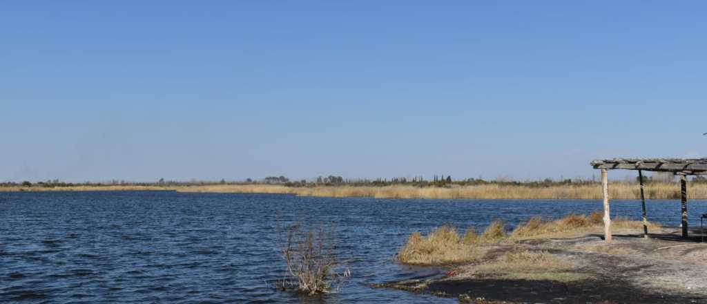 El humedal escondido que descansa en pleno secano mendocino