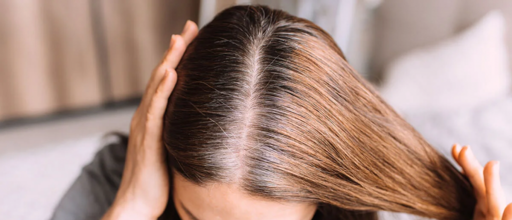 Canas: &iquest;qu&eacute; hago?